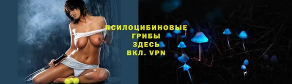 марки lsd Бородино