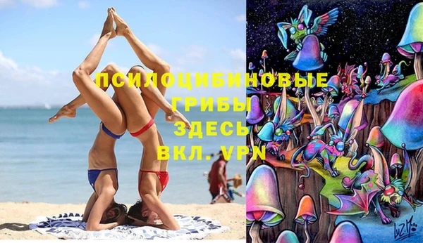 марки lsd Бородино